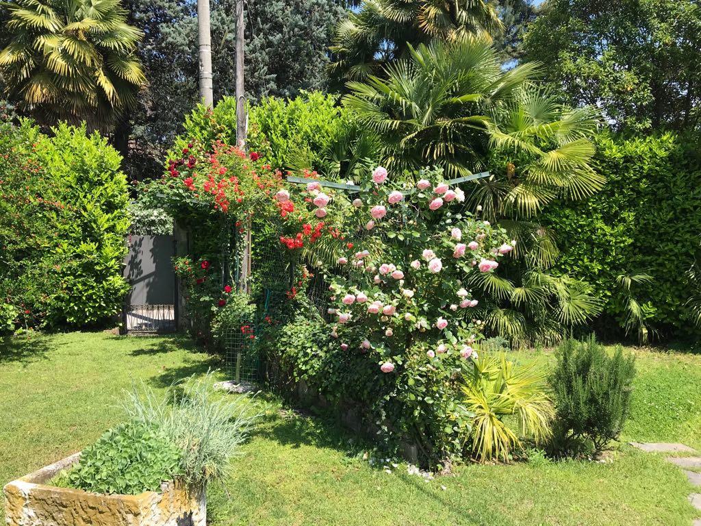 Rainbow Relais Bed & Breakfast Lesa Exterior photo